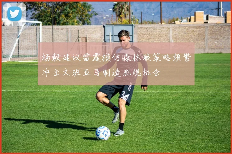 杨毅建议雷霆模仿森林狼策略频繁冲击文班亚马制造犯规机会