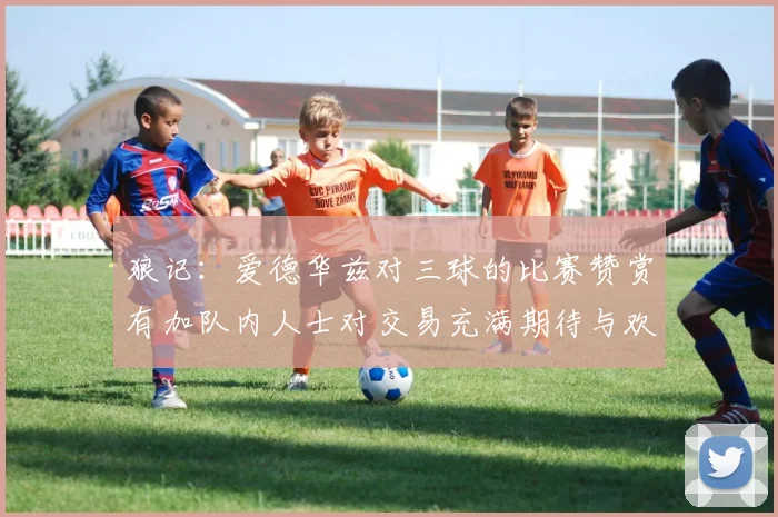 狼记：爱德华兹对三球的比赛赞赏有加队内人士对交易充满期待与欢欣